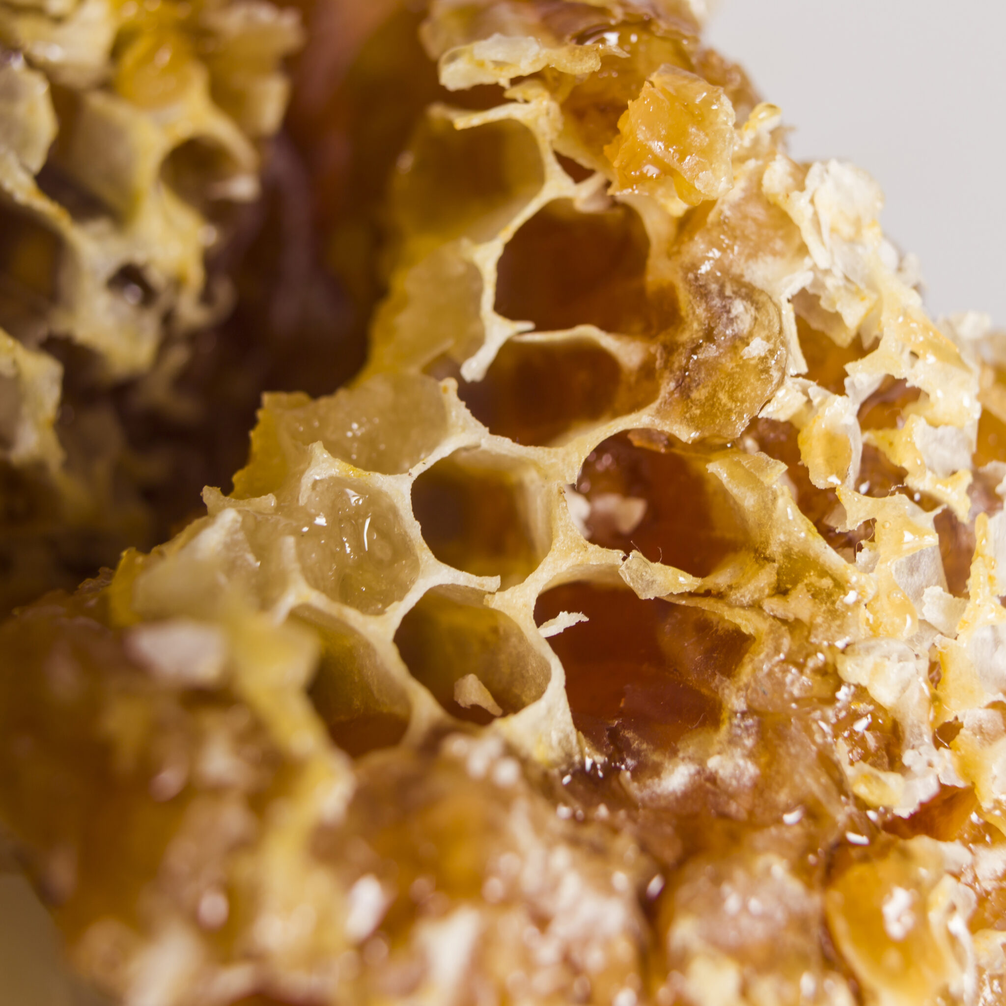 honeycomb