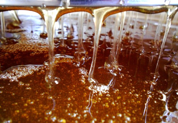 drop bee honey drip from hexagonal honeycombs 947317 1382