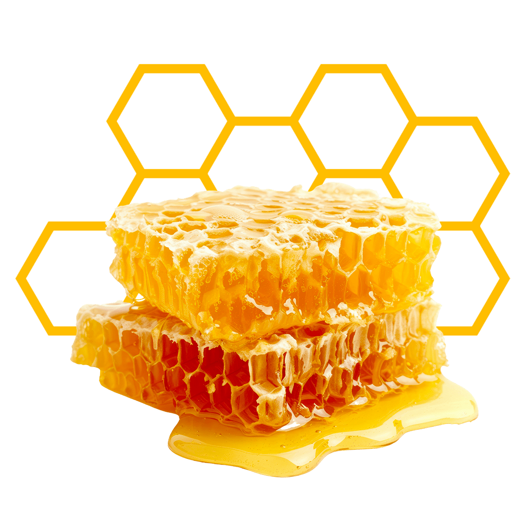 honey comb